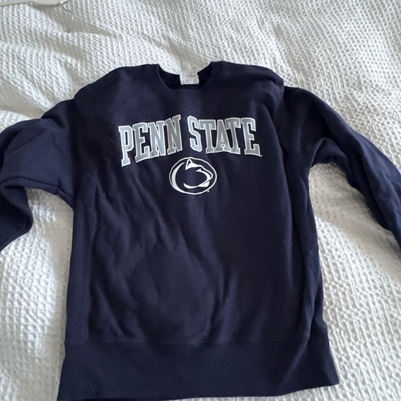 Champion Blue Crewneck Sweater - Picture 1 of 4